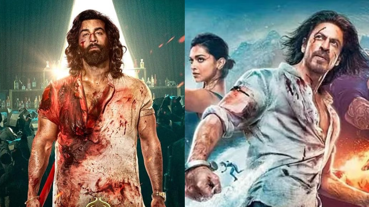 animal-box-office-ranbir-kapoor-film-beats-shah-rukh-khan-pathaan-becomes-secondhighest-grosser